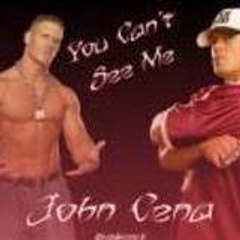 WWE2007