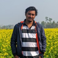 Uddipan Biswas