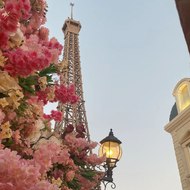 OhLaLaFrancés🇫🇷