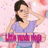 Littlevanduvlogs