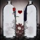 absolut_in_love