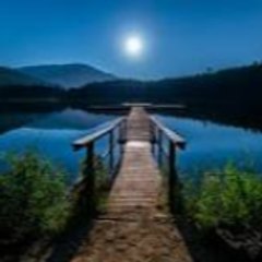 Nature Videos