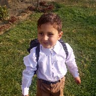 Entertainment amazing animals