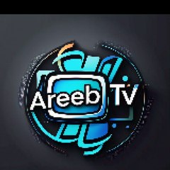 Saleem Areeb tv