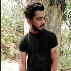 arslanshahidshahid681