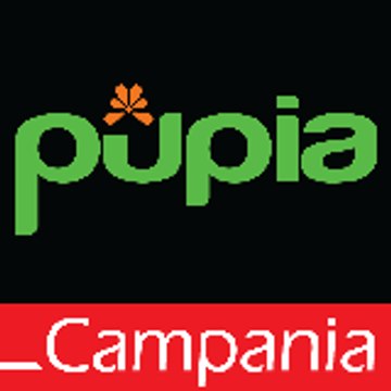 Pupia Campania