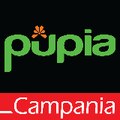 Pupia Campania