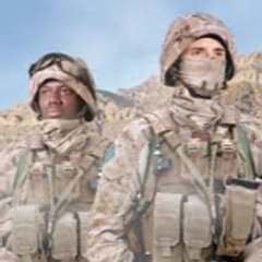 Tactical Insights