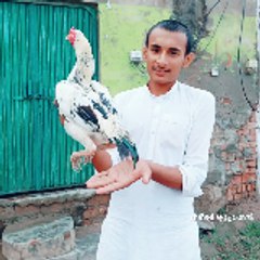Aseel.aks001