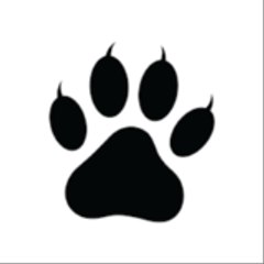 Animal Facts