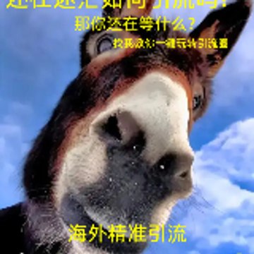 台湾交友粉引流✈【咨询TG @LL662589 】