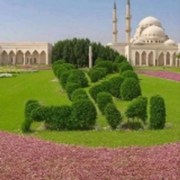 danishtullah3travel