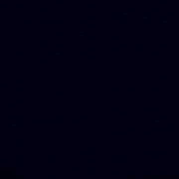 THEDANKED1 / テダンクド1