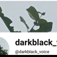 darkblack_voice
