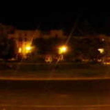 Dominae