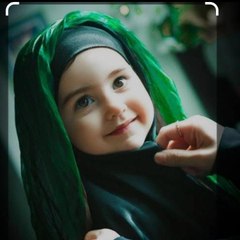 mohdsadraalam2633