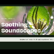 Sooothing Soundscapes