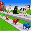 3d catoon