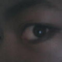 ladymalgache