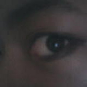 ladymalgache