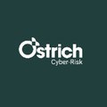Ostrich Cyber Risk