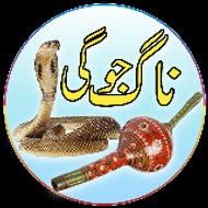 Naag Jogi
