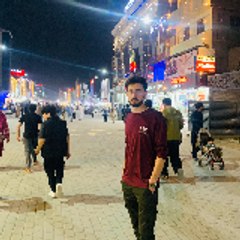 ziadmalik004
