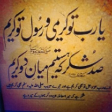 kashifsbano5555