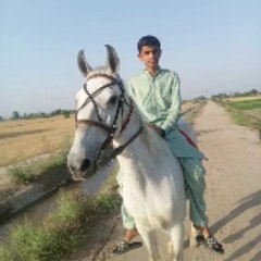 Muhammad Usman Ali