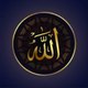 Majid Khalid