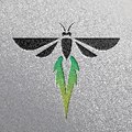 Firefly (FUNNY)