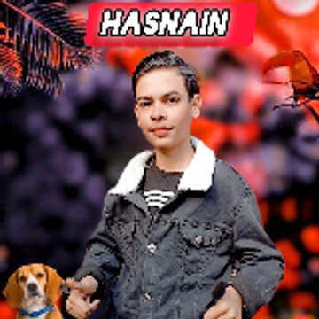 Hasnain Hasnain Qureshi