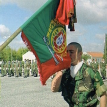 martelo79