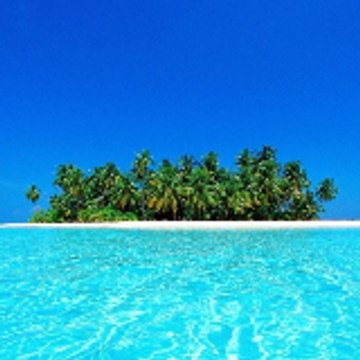 TravelViajes