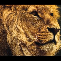 sultan