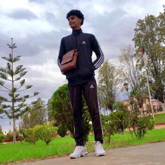 Amine Moumene