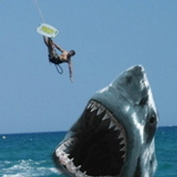 lekitesurferdesanta