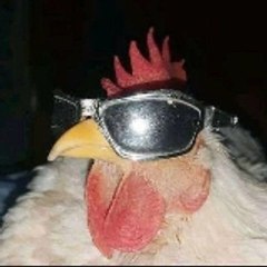 FUNNY CHANNEL
