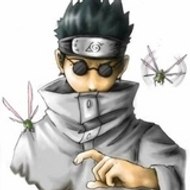 Shino Bug Boy