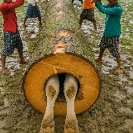 sanaullahnawabzada313313