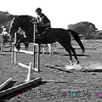 chevaldu54