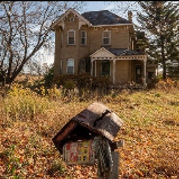 Abandoned Beauties