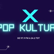 POP KULTURA