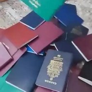 smart.documentempire