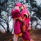 Punjabi status