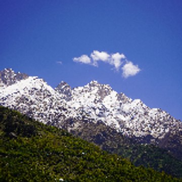 Mustafa Fatemi