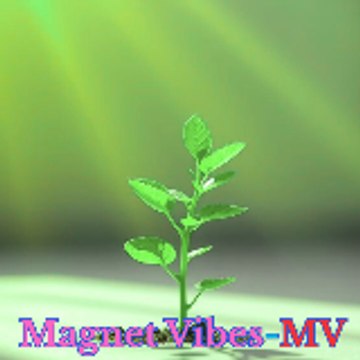 Magnet Vibes-MV
