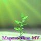 Magnet Vibes-MV