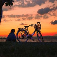 The Color of Forgotten Things