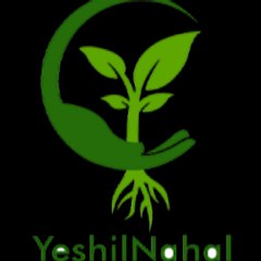 negin1 afshin1